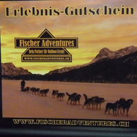 Fischer Stefan