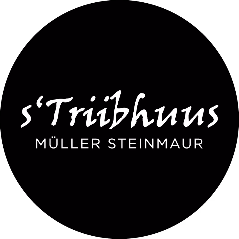 Müller Steinmaur Logo