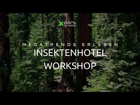 Insektenhotel Workshop - xpert teambuilding
