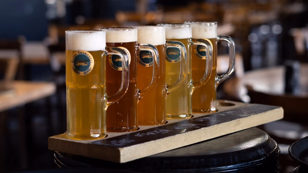 Titelbild