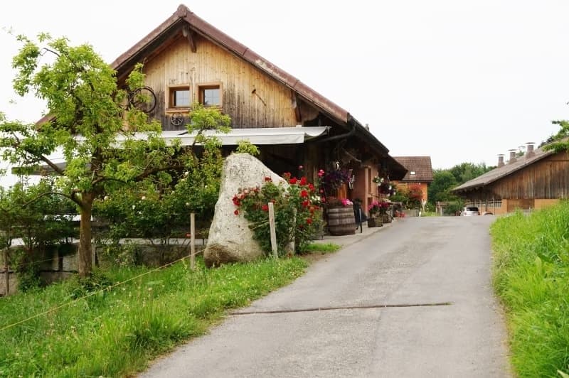 Holzfassade der Festhütte Näscht mit Zufahrt und Bepflanzung