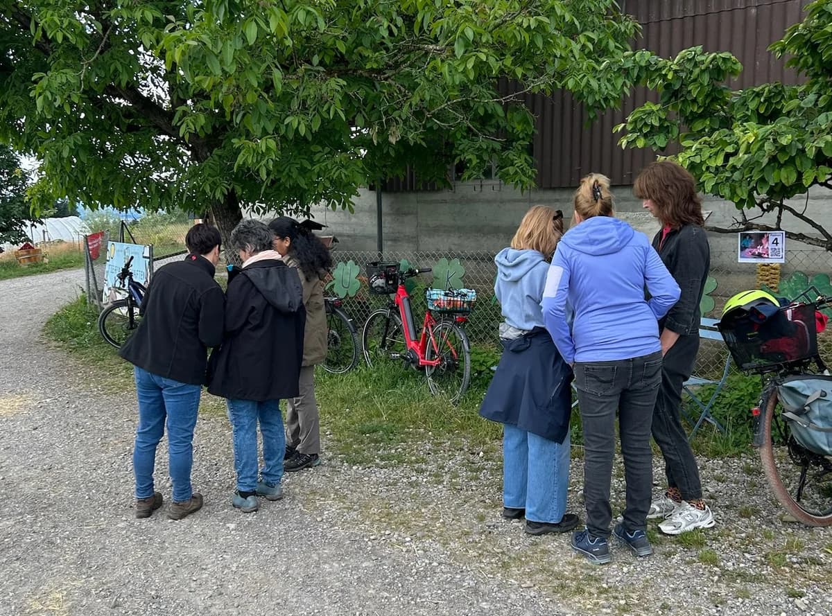 Neue Perspektive Schlub | Ruth Schlub 7