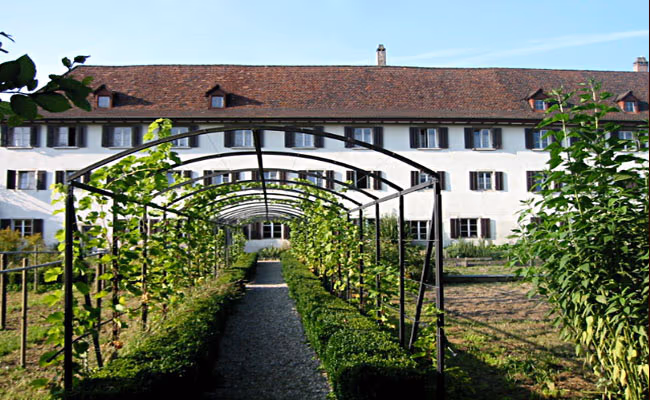 Kloster Dornach 3