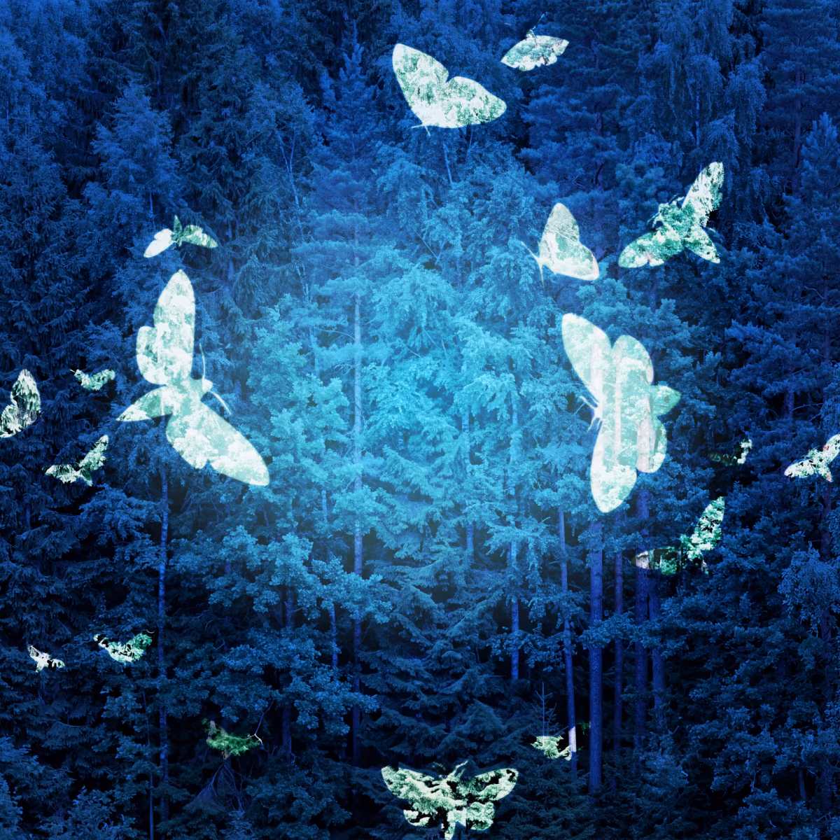Zauberwald Lenzerheide 2026