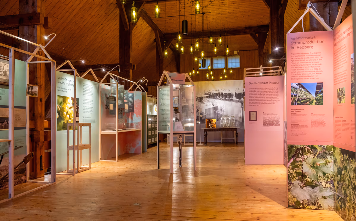 Weinbaumuseum am Zürichsee 6