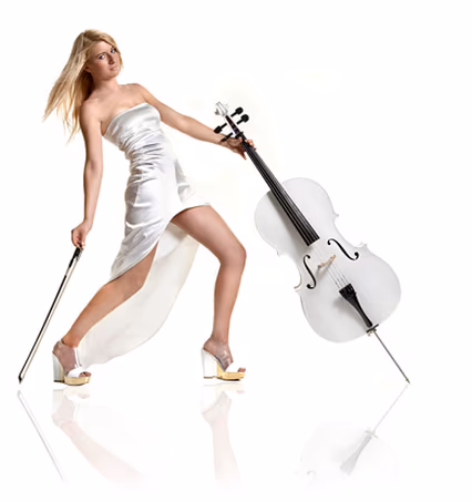 White Cello - Liz Schneider