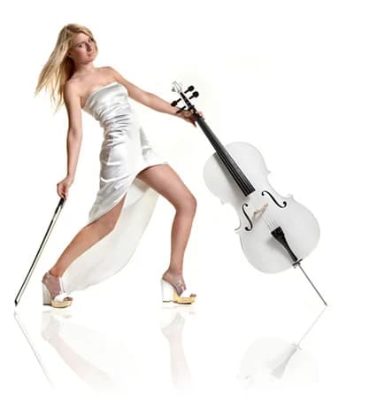 White Cello - Liz Schneider