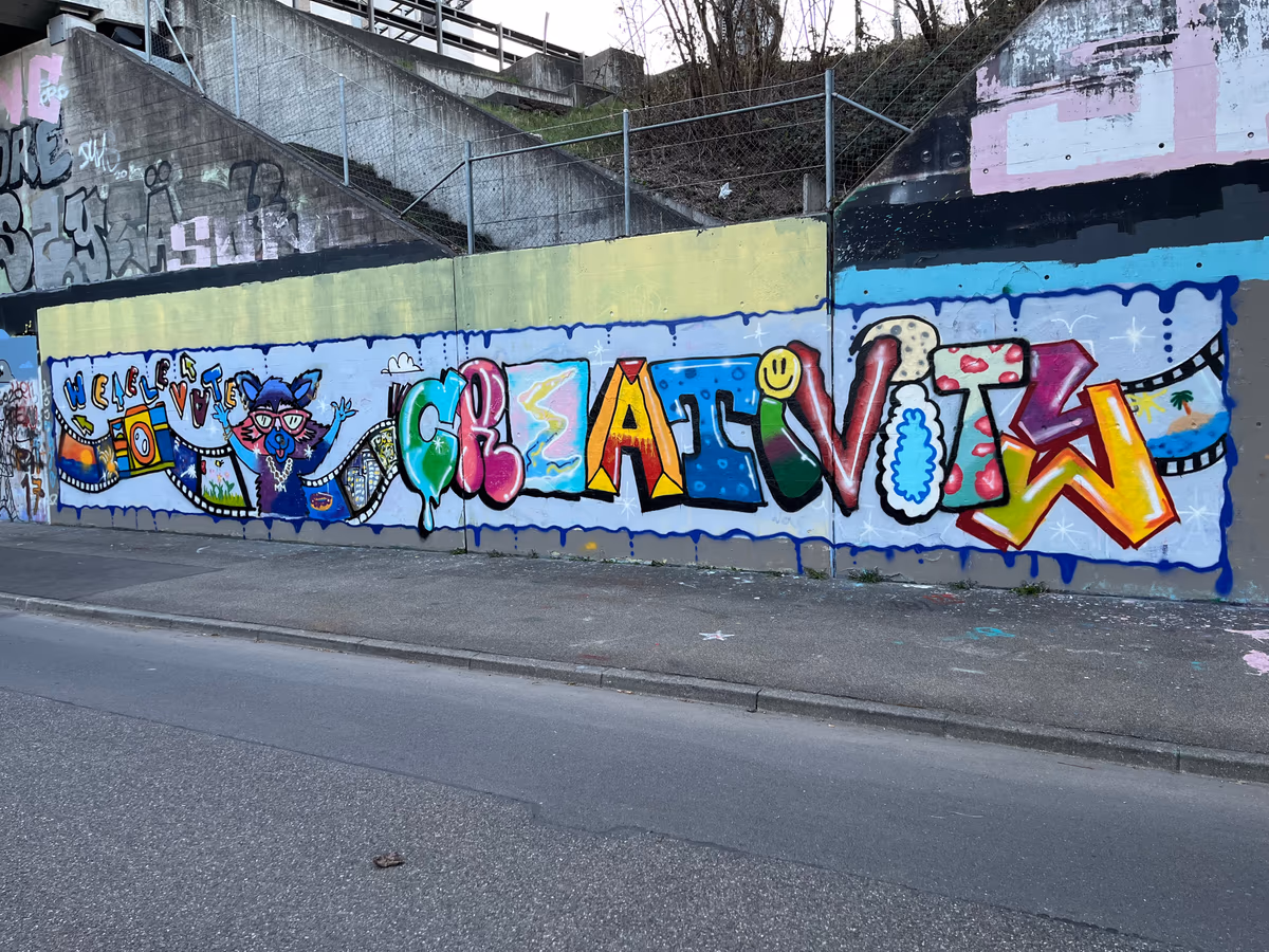 Rayo Fernandez 2