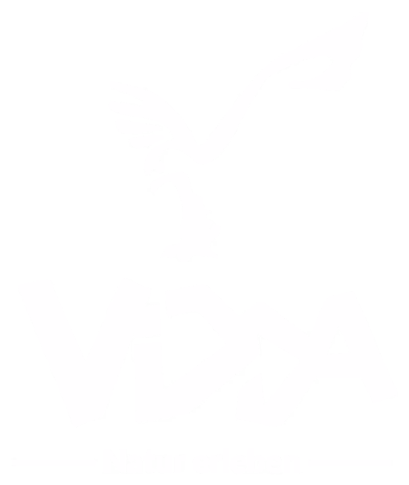 Vidda Logo